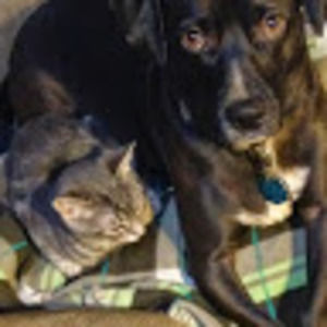 Meet your Posher, Cathy